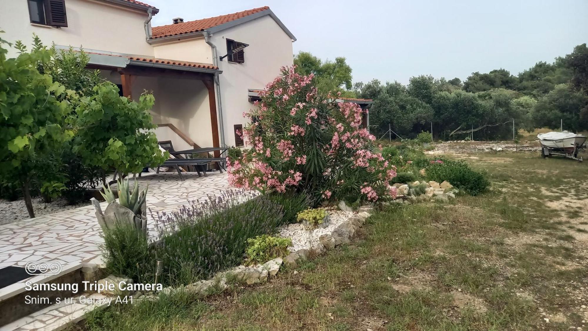 Eco Secluded Apartments Zabodarski Cunski Экстерьер фото