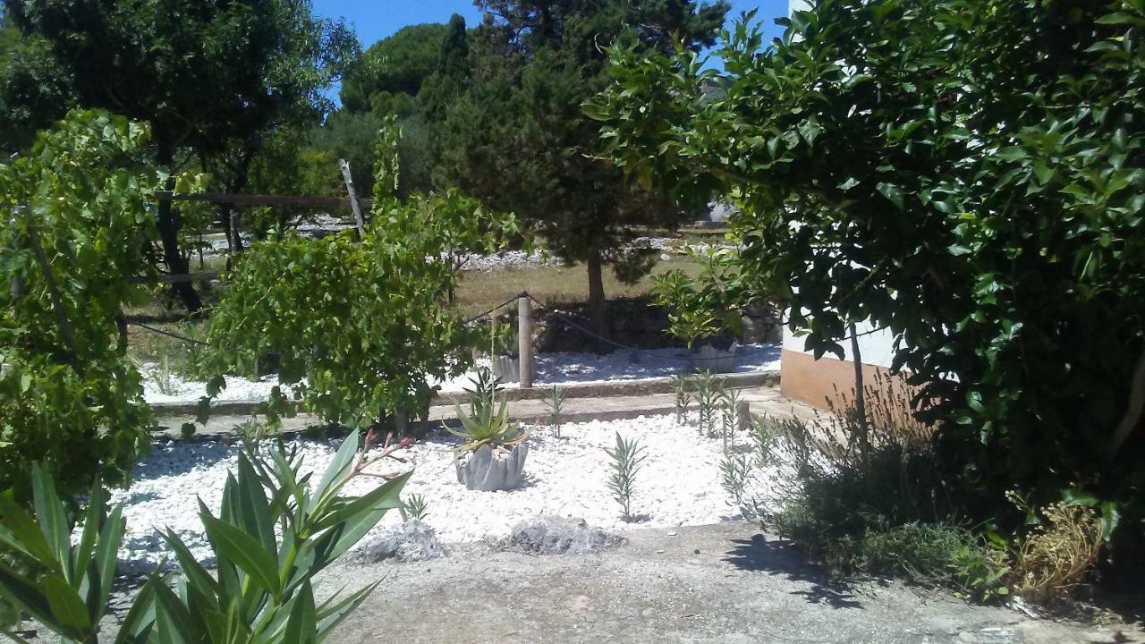Eco Secluded Apartments Zabodarski Cunski Экстерьер фото