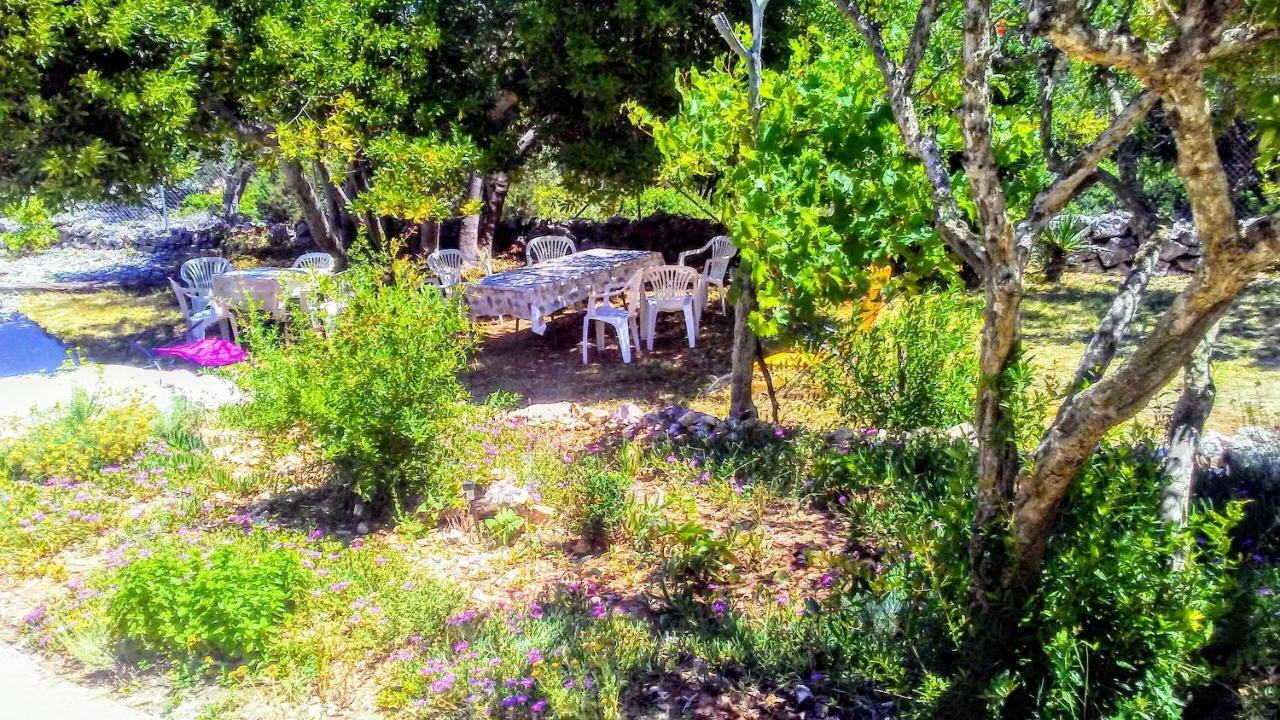 Eco Secluded Apartments Zabodarski Cunski Экстерьер фото